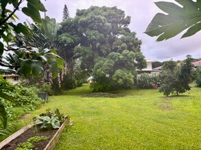 60 Nohea St in Hilo, HI - Building Photo - Building Photo