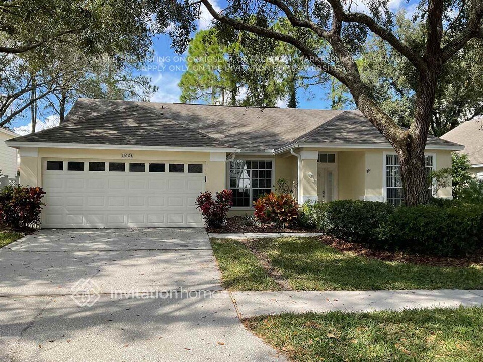 17623 Esprit Dr in Tampa, FL - Building Photo