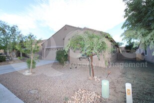 11879 W Byron Wolfe Dr in Marana, AZ - Building Photo