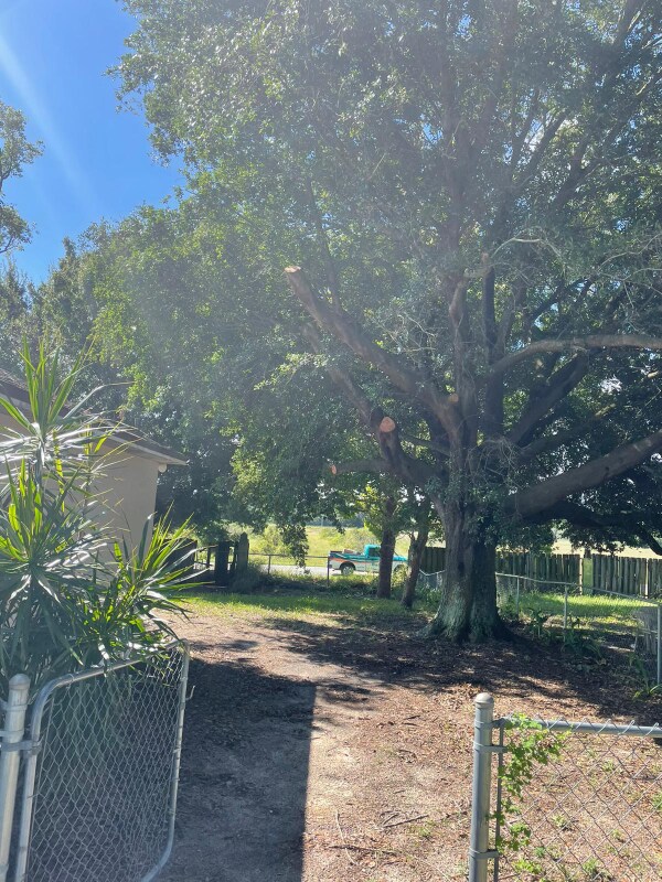 122 Weeping Willow Rd in Eagle Lake, FL - Building Photo - Building Photo