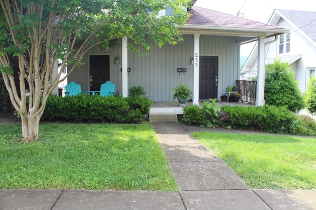 211 W Fairview Ave in Johnson City, TN - Building Photo - Building Photo