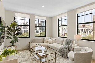 Vine on Clematis in West Palm Beach, FL - Building Photo