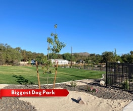 5337 Crst Cv Dr in Sun Valley, NV - Building Photo - Building Photo