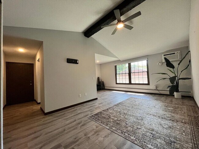 1015 11th Ave S, Unit 6 in Hopkins, MN - Foto de edificio - Building Photo