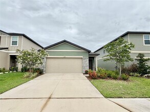 10451 Ladybug Cv in Parrish, FL - Building Photo - Building Photo