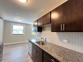 533 W Surf St in Chicago, IL - Building Photo - Building Photo