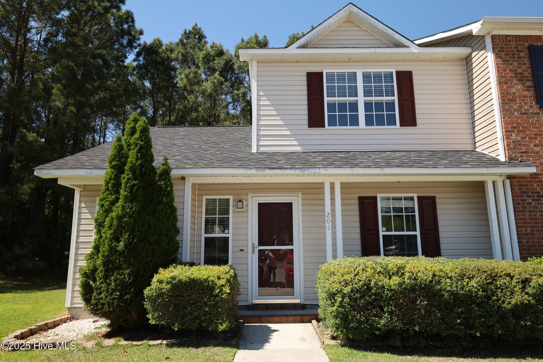 201 Spring Meadow Cir in Jacksonville, NC - Building Photo