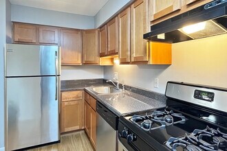 527-533 Des Plaines Ave. and 7624-7626 Wilcox in Forest Park, IL - Building Photo - Building Photo
