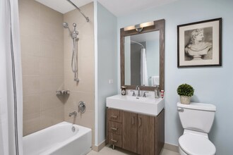 305 E North Water St in Chicago, IL - Foto de edificio - Building Photo