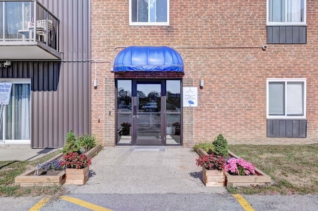 property at 38 Dawson Rd