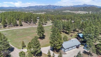 40 Peregrine Pl in Pagosa Springs, CO - Building Photo