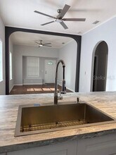 1007 E Emma St in Tampa, FL - Building Photo - Building Photo