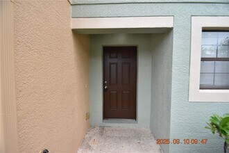 2447 Hibiscus Bay Ln in Brandon, FL - Building Photo - Building Photo