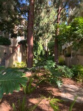 8500 Falmouth Ave, Unit 3116 in Playa Del Rey, CA - Building Photo - Building Photo