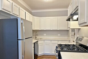 301-313 N. Oak Park Ave. in Oak Park, IL - Building Photo