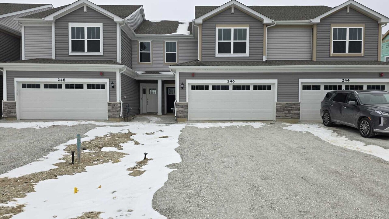 246 Cooney Wy in Oswego, IL - Building Photo