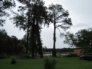 6210 Land O Lakes Blvd in Land O Lakes, FL - Foto de edificio - Building Photo