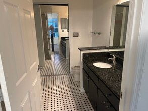 10552 Windsor Lake Ct in Tampa, FL - Building Photo - Building Photo