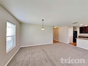 10614 Massimo Dr in Wimauma, FL - Building Photo - Building Photo