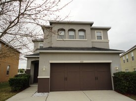 11112 Silver Fern Way in Riverview, FL - Building Photo