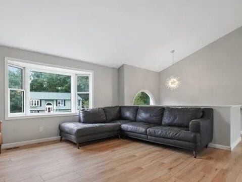 5 Meadowsweet Rd in Shrewsbury, MA - Building Photo - Building Photo