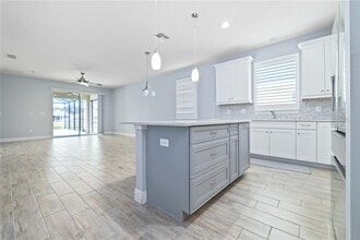 13007 Rain Lily Dr in Riverview, FL - Building Photo - Building Photo
