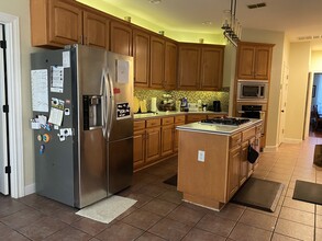 10005 Swan Valley Ln in Austin, TX - Building Photo - Building Photo
