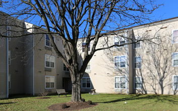 Speers Court Apartments in Dayton, KY - Building Photo - Building Photo