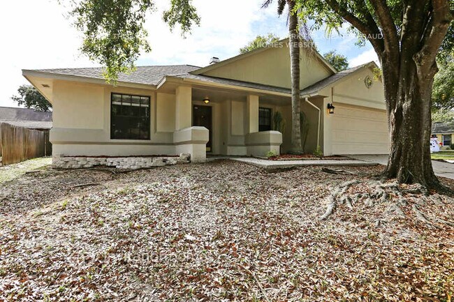 901 Sandywood Dr in Brandon, FL - Building Photo - Building Photo