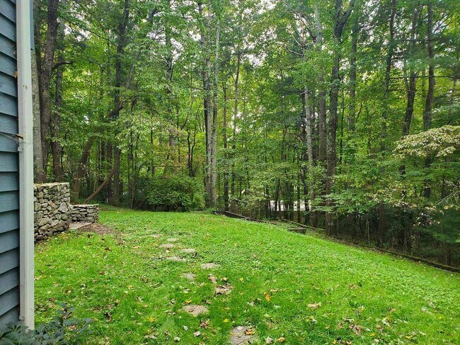 10 White Birch Dr in Mills River, NC - Building Photo - Building Photo