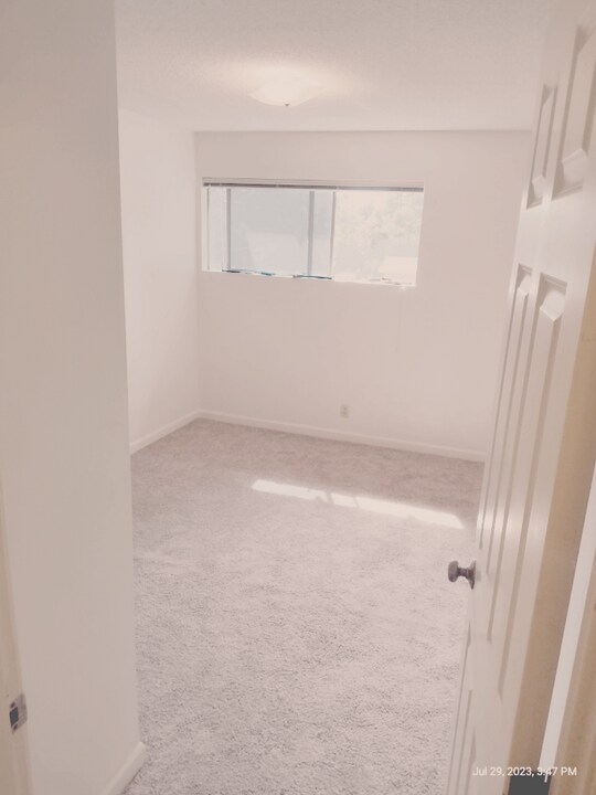 1014 151st Pl NE in Bellevue, WA - Building Photo