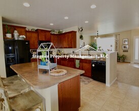 1584 Harpendon Ct in Windsor, CO - Building Photo - Building Photo