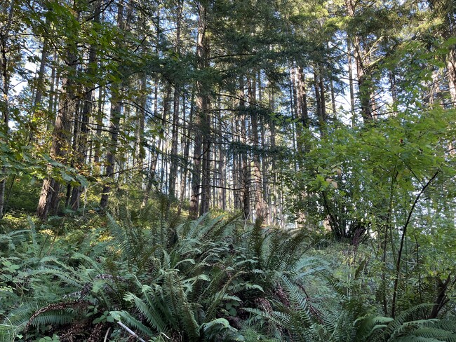 property at 30366 Fox Hollow Rd