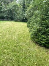 814 Pamlico Dr in Cary, NC - Building Photo - Building Photo