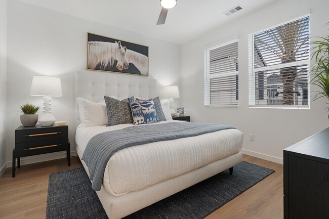 Stirling at Cota Vera