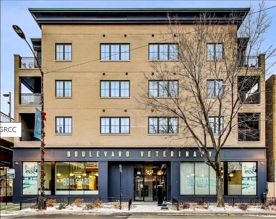Damen Apartments in Chicago, IL - Building Photo
