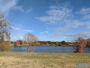 276 Village Springs Dr in Madison, AL - Building Photo - Building Photo