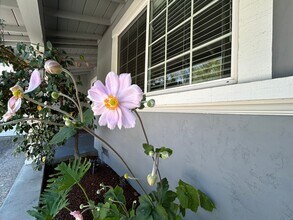 635 Rock Oak Rd in Walnut Creek, CA - Building Photo - Building Photo