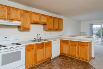 Shenandoah Woods Apartments in Plymouth, MN - Foto de edificio - Building Photo