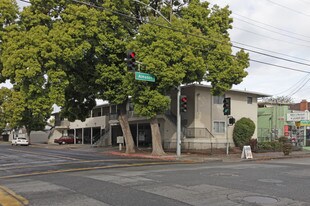 215 Oak St in San Jose, CA - Building Photo