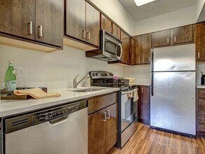 208 E Chestnut St in Chicago, IL - Building Photo - Building Photo