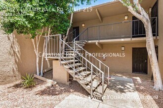 3825 E Camelback Rd in Phoenix, AZ - Building Photo - Building Photo