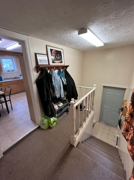 535 York St in Fredericton, NB - Building Photo - Building Photo