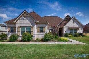 216 SW Winterbranch Rd in Madison, AL - Building Photo