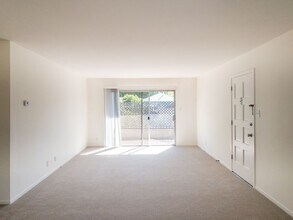 20 Tamalpais Ave in San Anselmo, CA - Building Photo - Building Photo