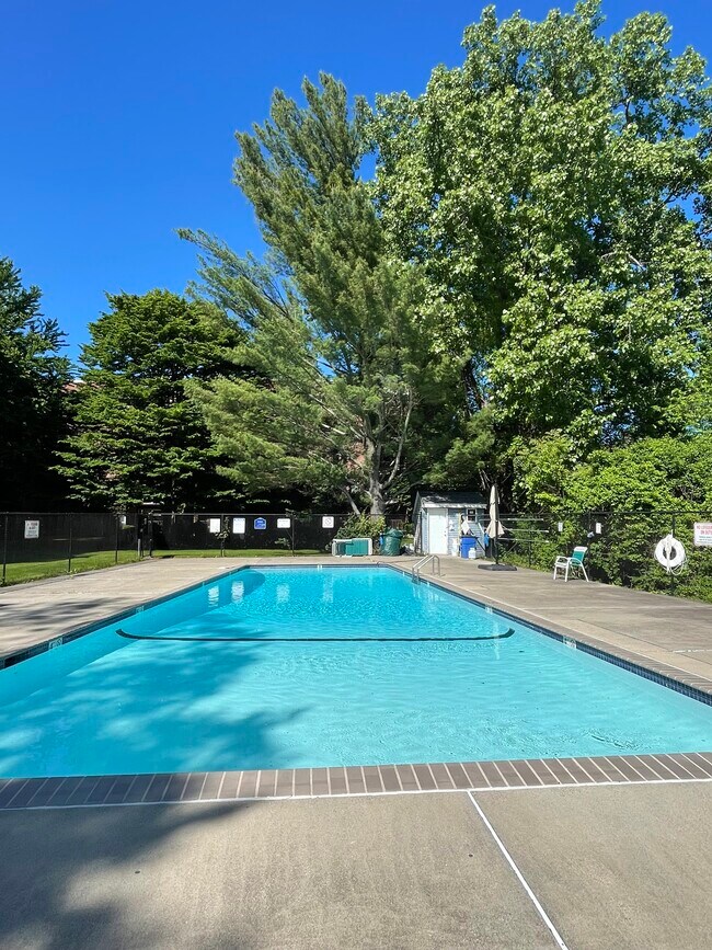 50-56 Broadlawn Park, Unit 208 in Boston, MA - Building Photo - Building Photo