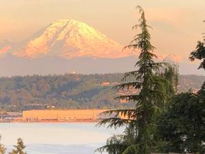 7942 Lake View Ln in Mercer Island, WA - Building Photo