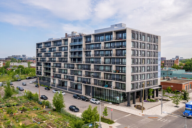 439 Thérèse-Lavoie-Roux Av in Montréal, QC - Building Photo - Building Photo