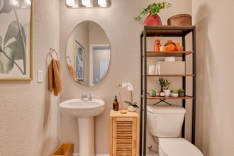 7744 Bone Crk Pt in Colorado Springs, CO - Building Photo - Building Photo