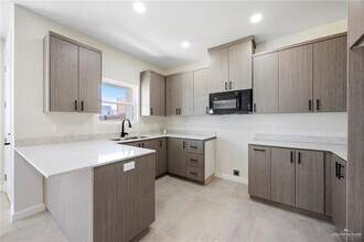 22 Dorado Dr in Alton, TX - Building Photo - Building Photo